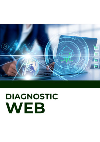 Diagnostic Performance de site web